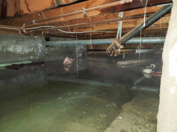 Best Commercial water damage restoration  in Dayton, NJ