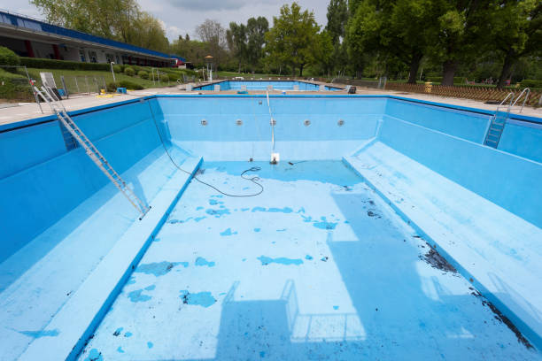Best Mold removal after water damage  in Dayton, NJ