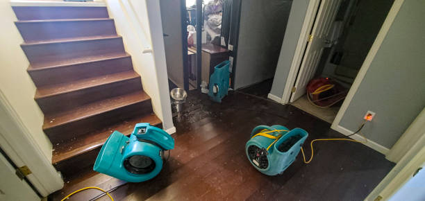 Best 24/7 water damage repair  in Dayton, NJ