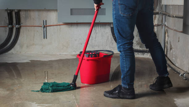 Best Water damage restoration near me  in Dayton, NJ