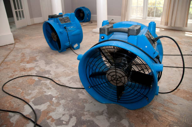 Best Emergency water extraction  in Dayton, NJ