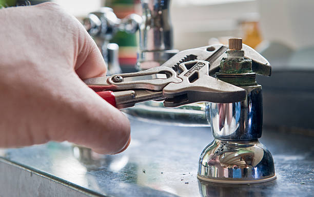 Best Flood damage cleanup  in Dayton, NJ