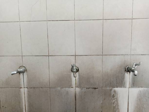 Best Water damage restoration cost  in Dayton, NJ