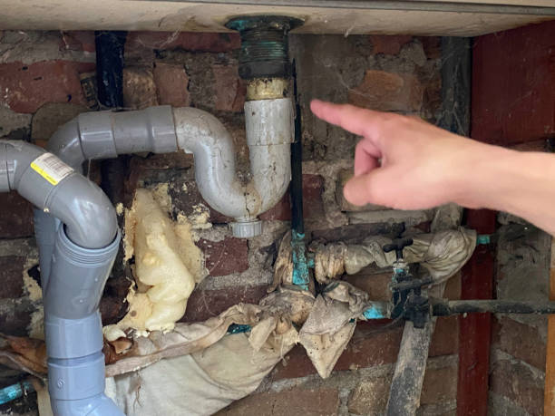 Best Water damage restoration insurance claims  in Dayton, NJ