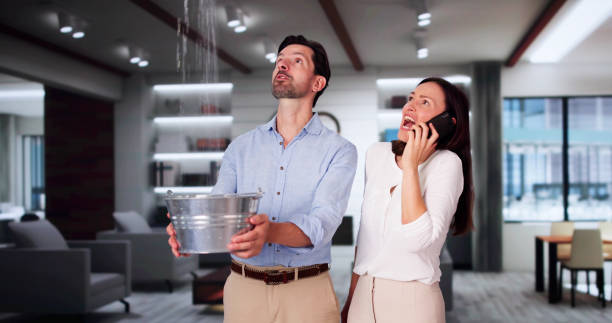 Best Fire Damage Restoration  in Dayton, NJ