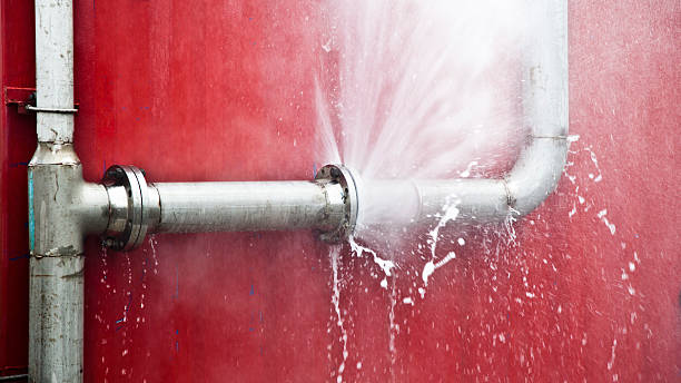 Best Water damage contractors near me  in Dayton, NJ