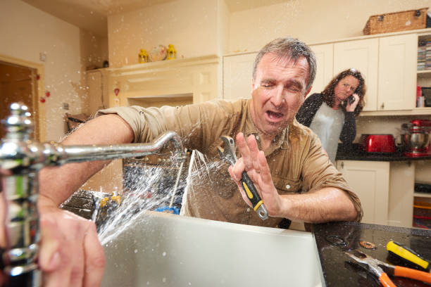 Best Water damage cleanup near me  in Dayton, NJ